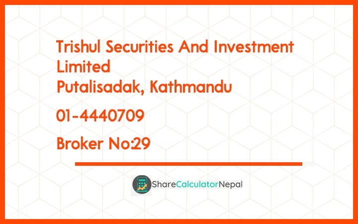 Trishul Securities And Investment Limited